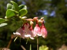 20050505 150821_1.jpg